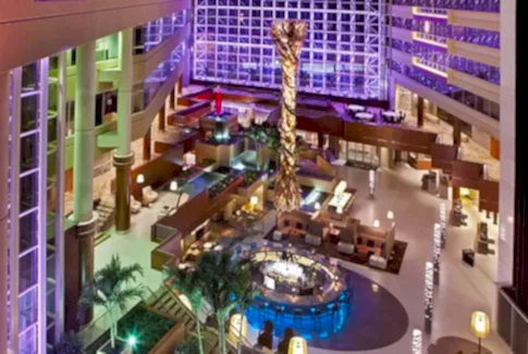 golden chef amerika staj programı anlaşmalı işyerleri görseli