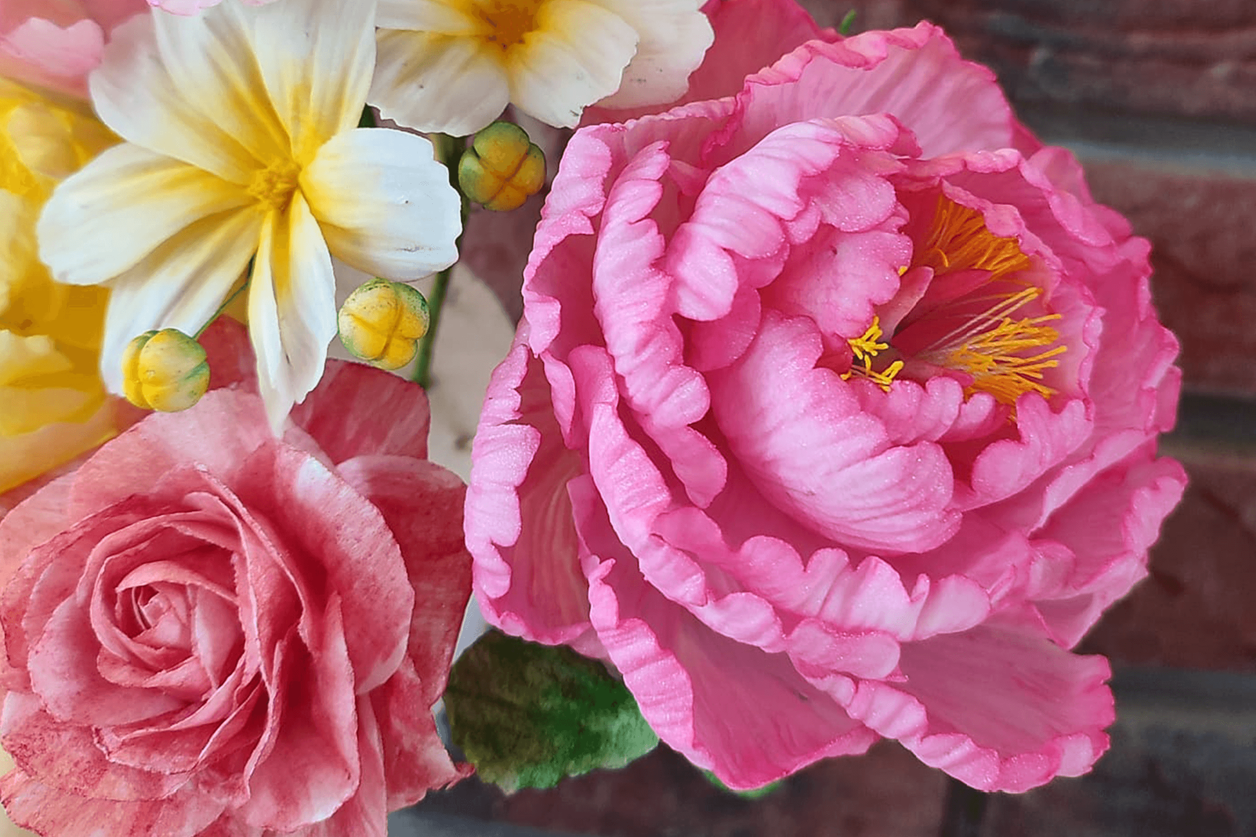 golden chef mutfak akademisi butik pasta görseli